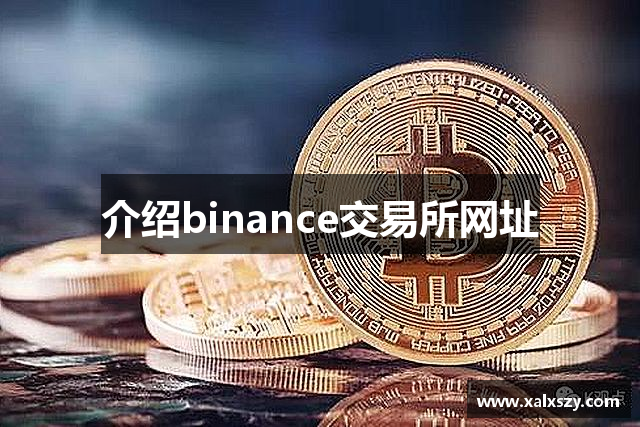 介绍binance交易所网址